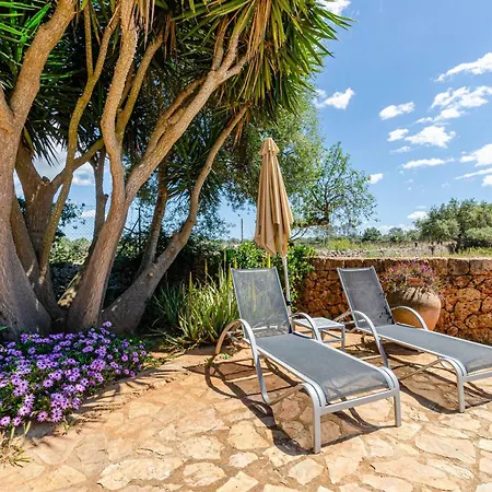 Yourhouse Porreti La Conillera Lloret de Vistalegre
